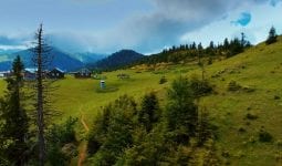 Ege’nin Hamsisi Çekimleri Nerede Yapılıyor? Karadeniz’de Hangi Köyde Çekiliyor? Ege’de Nerede Çekiliyor