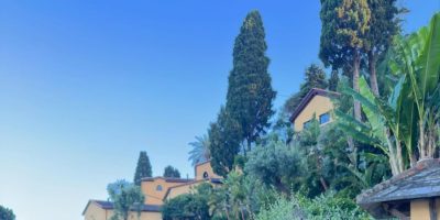 Operasyon Alesta Oyuncuları (Tam Liste Oyuncu Kadrosu)